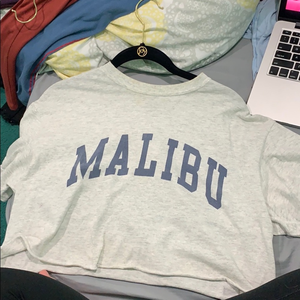 Brandy melville crop top